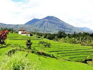 Batukaru Hotel Bali Ngoại thất bức ảnh